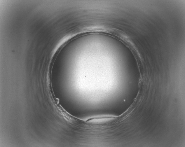 X0000078281328200611172046