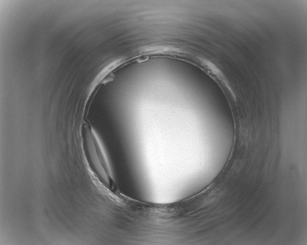 X0000078281330200611172046