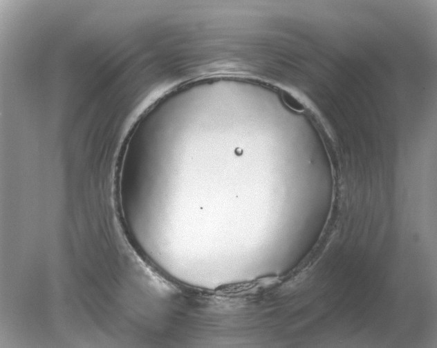 X0000078281333200611172046