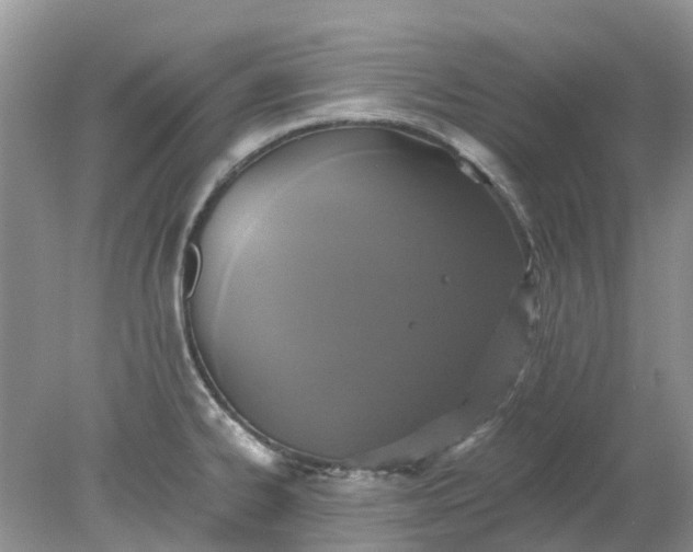 X0000078281334200611172046