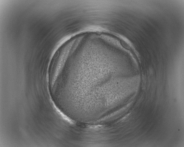 X0000078281335200611172046