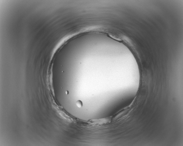 X0000078281336200611172046