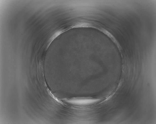 X0000078281337200611172046