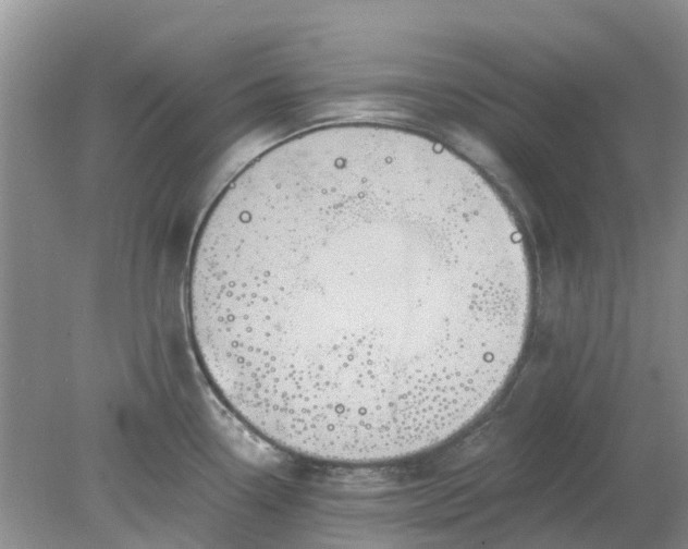 X0000078281338200611172046