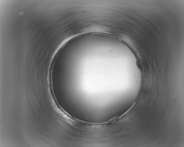 X0000078281339200611172046