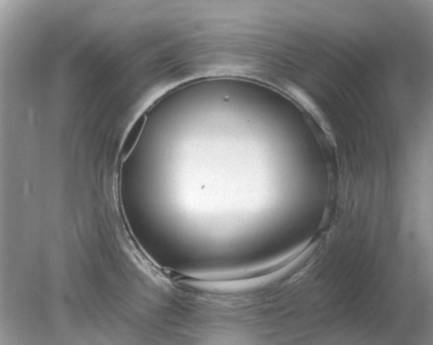 X0000078281340200611172046