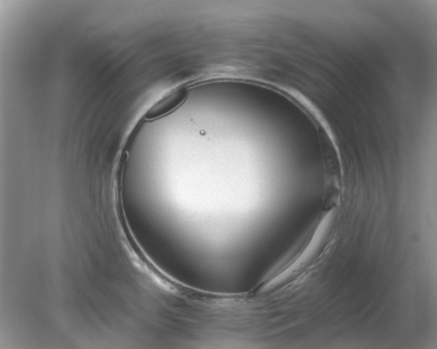 X0000078281341200611172047