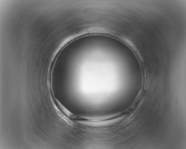 X0000078281342200611172047