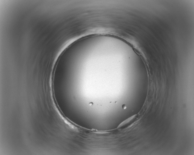 X0000078281343200611172047