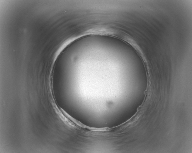 X0000078281344200611172047