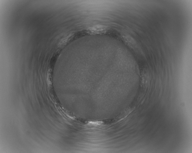 X0000078281346200611172046