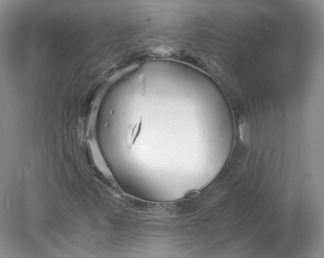 X0000078281347200611172046