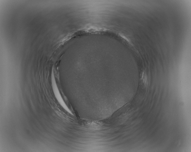 X0000078281348200611172046