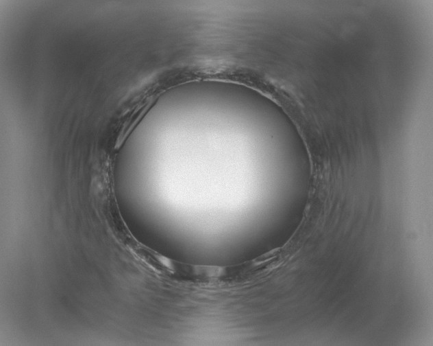 X0000078281349200611172046