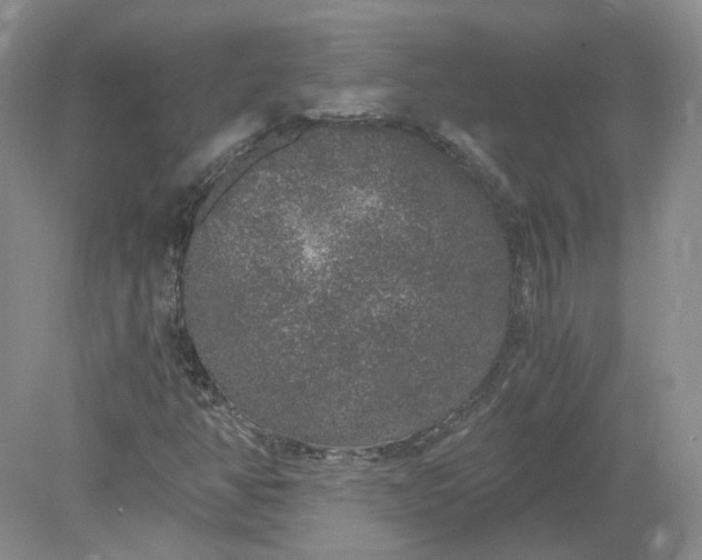 X0000078281350200611172046