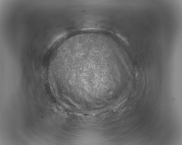 X0000078281351200611172046