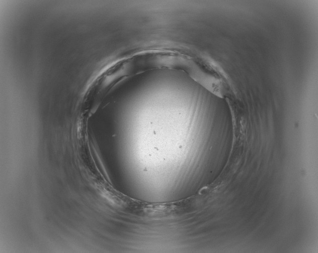 X0000078281352200611172046