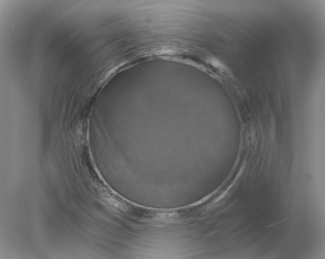 X0000078281353200611172046