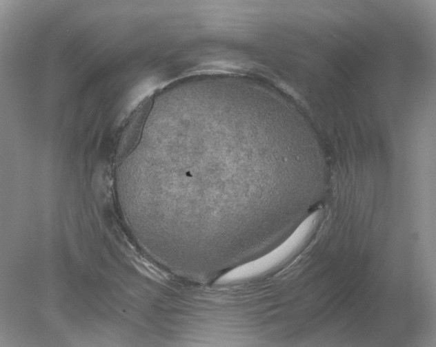 X0000078281355200611172046