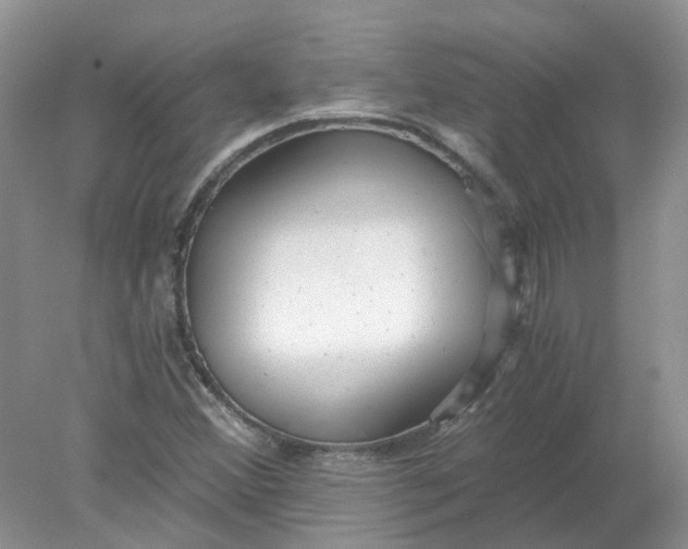 X0000078281356200611172046