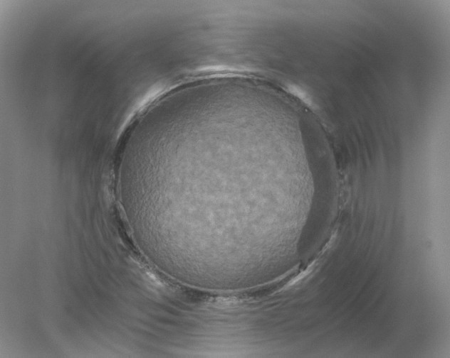 X0000078281357200611172046