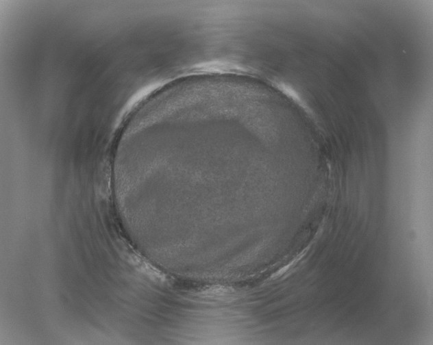 X0000078281358200611172046