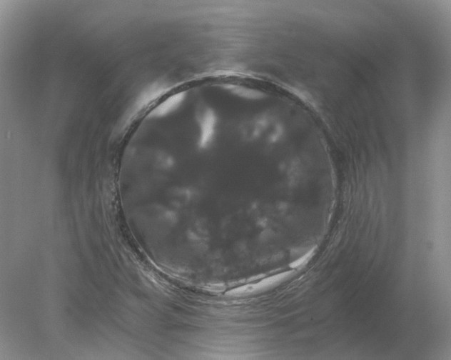 X0000078281359200611172046