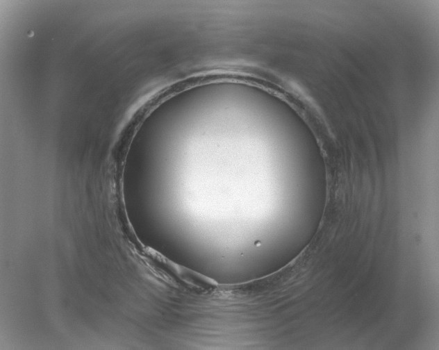 X0000078281360200611172045