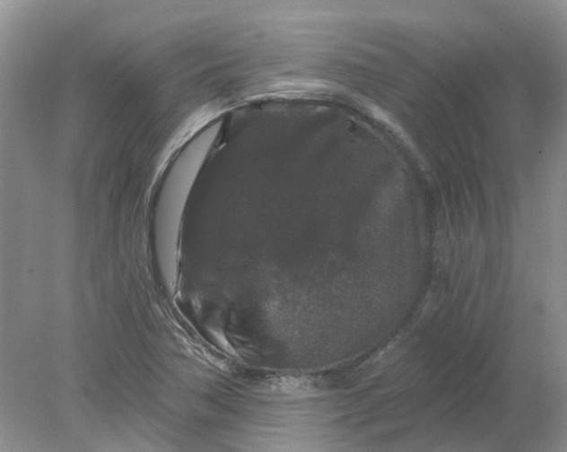 X0000078281362200611172045