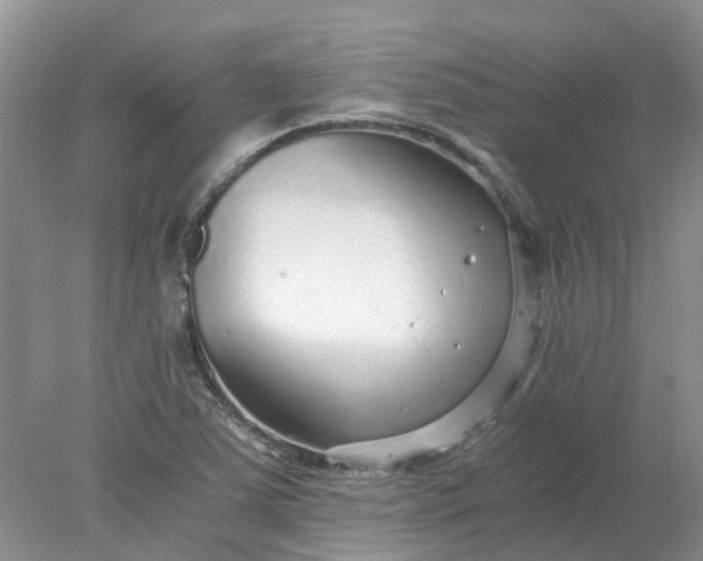 X0000078281363200611172045