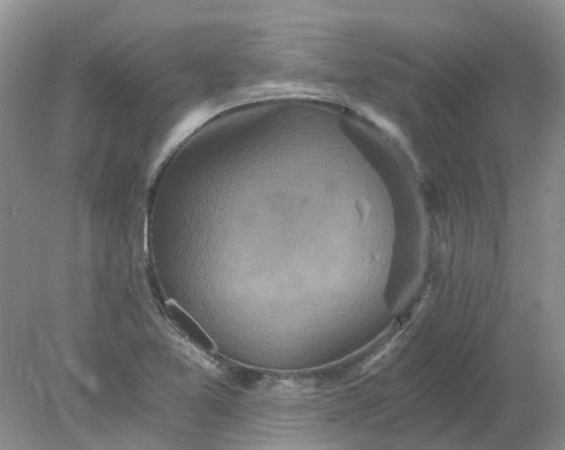 X0000078281365200611172045