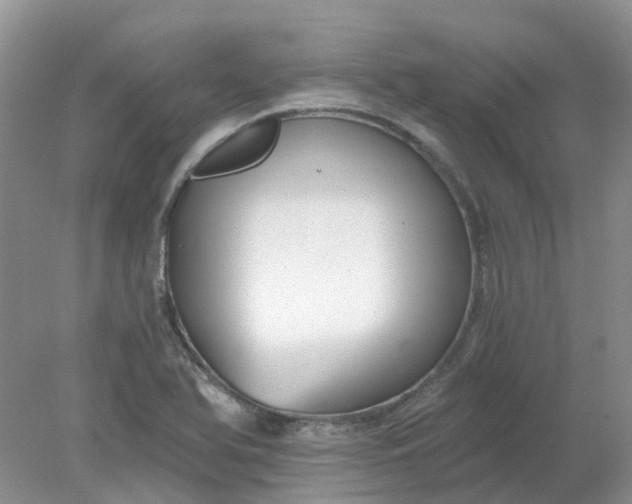 X0000078281366200611172045