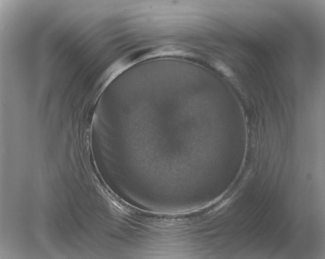 X0000078281369200611172045