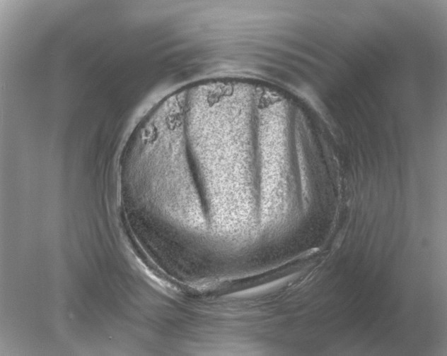 X0000078281371200611172045