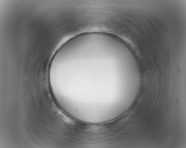 X0000078281374200611172045