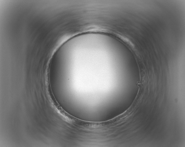 X0000078281375200611172045