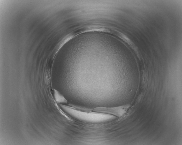 X0000078281377200611172045