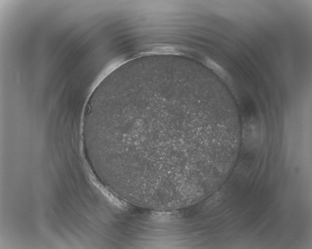 X0000078281378200611172045