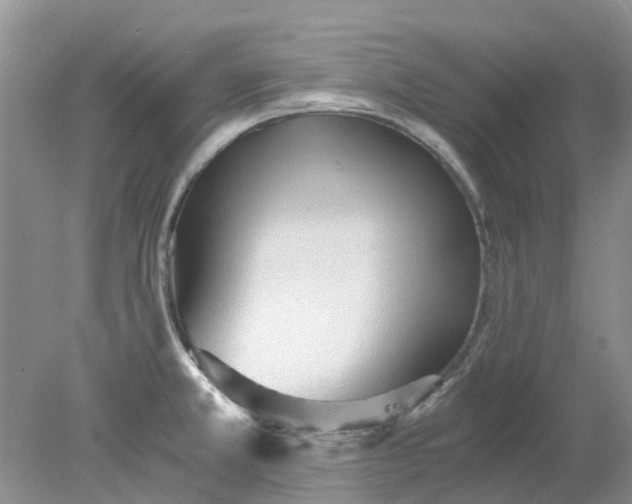 X0000078281381200611172045