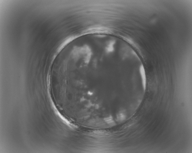 X0000078281383200611172045