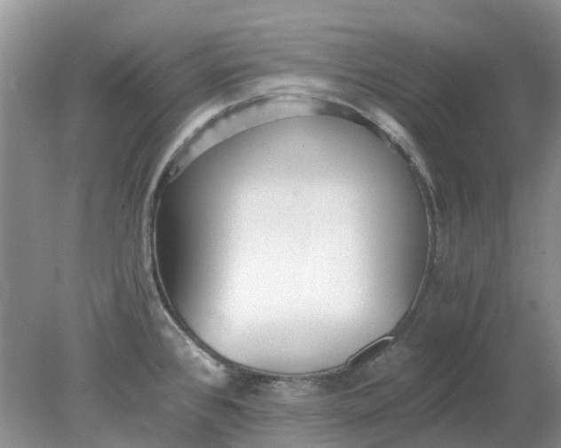 X0000078281384200611172045