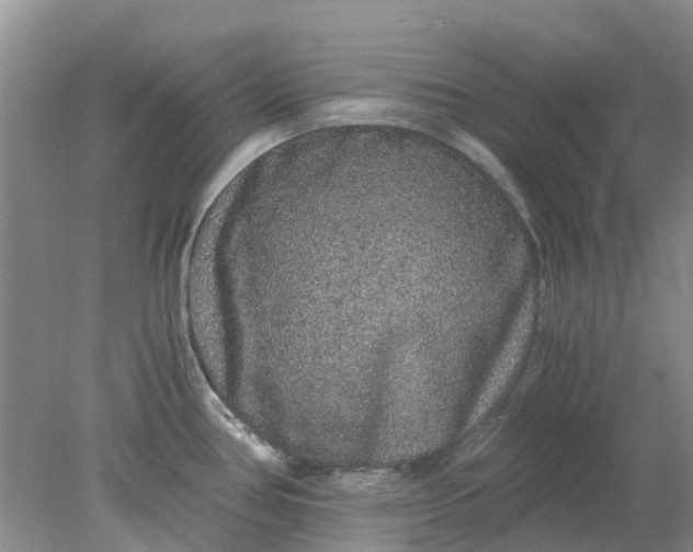 X0000078281386200611172045