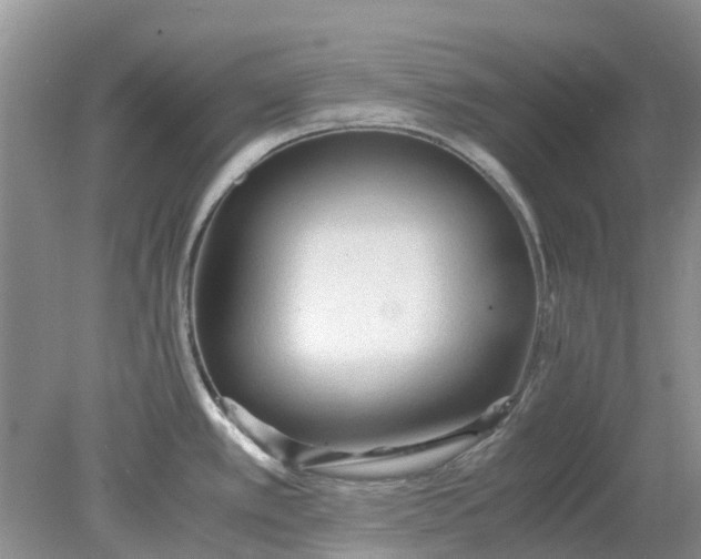 X0000078281389200611172045