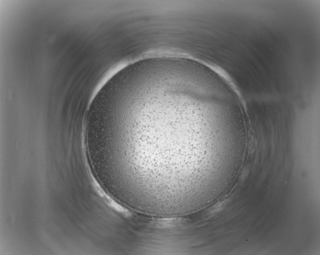 X0000078281390200611172045