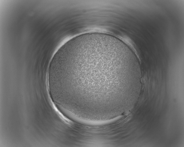 X0000078281391200611172045