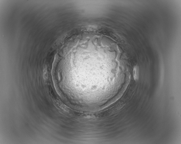 X0000078281395200611172044