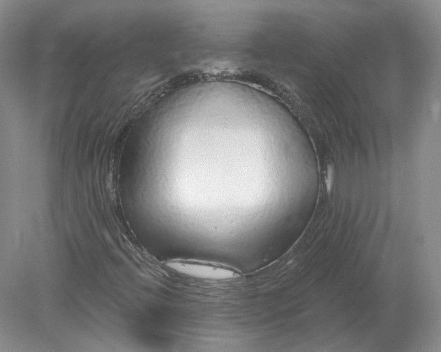 X0000078281396200611172044