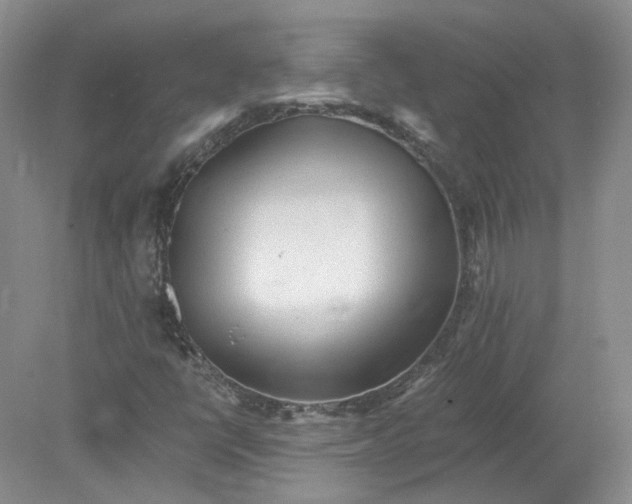 X0000078281398200611172044