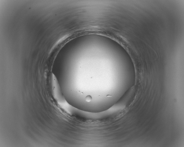 X0000078281402200611172044