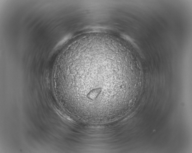 X0000078281403200611172044